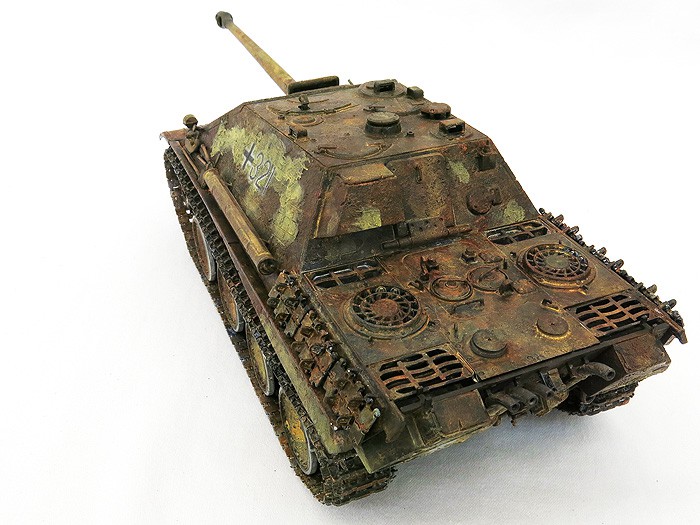 JangpantherEarlyPntToprear07SS