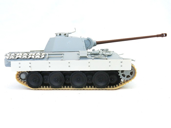 PantherALateBldSide01SS