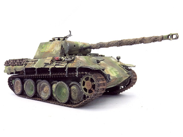 PantherALatePntFrt01SS