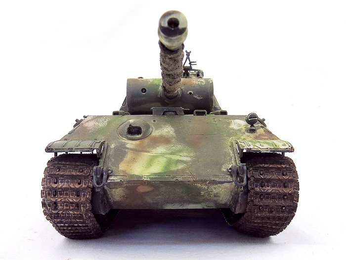 PantherALatePntFrt03SS