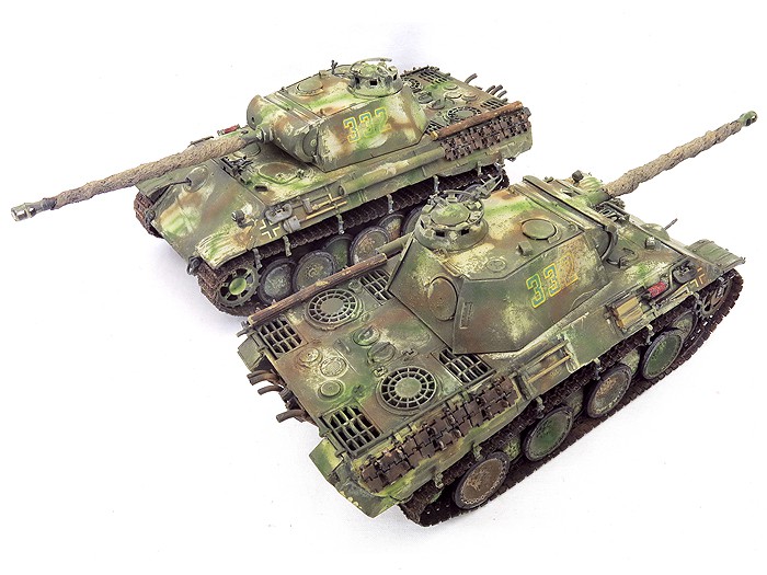 PantherALatePntTopRear01Frt02SS