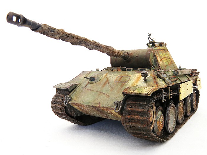 PantherALateSktFrt05SS