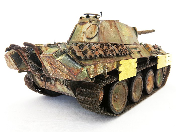 PantherALateSktRear04SS