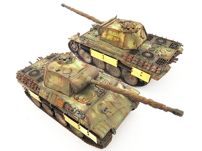 PantherALateSktTopFrt01Rear02SS