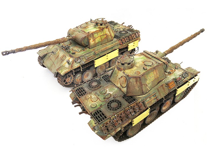 PantherALateSktTopRear01Frt02SS